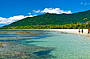 CAPE TRIBULATION BEACH WALK